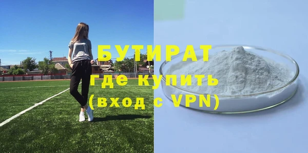 прущие грибы Инта