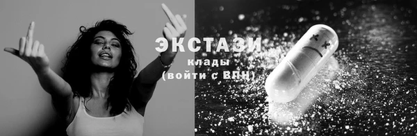 прущие грибы Инта