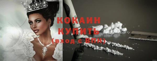 прущие грибы Инта