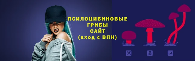 бошки Тобольск