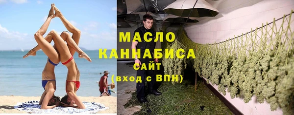 прущие грибы Инта